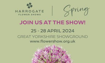 Harrogate Flower Shows - Spring Show