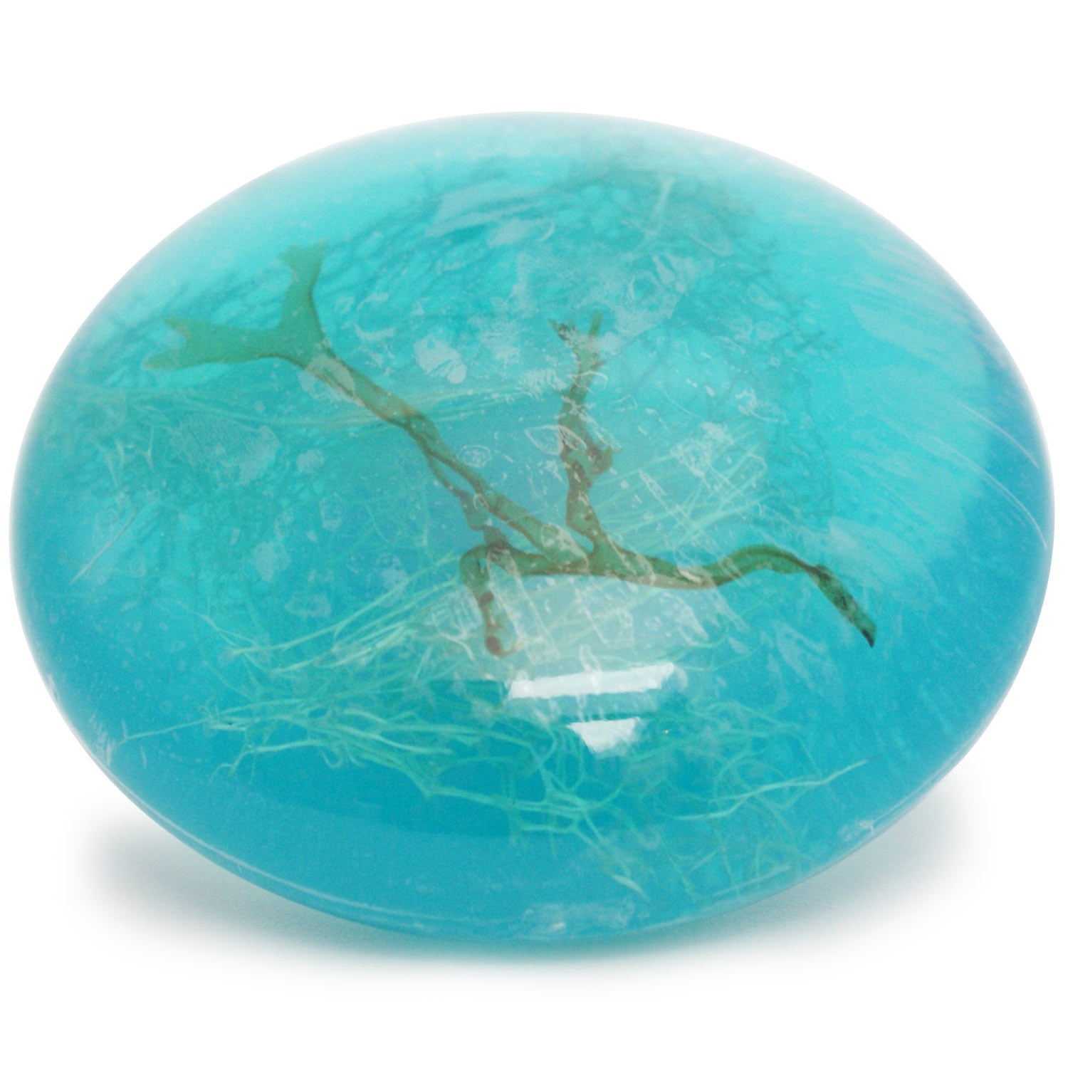 Seaweed: our slimy friend!