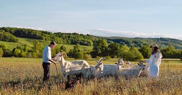 Goat in the Pyranees