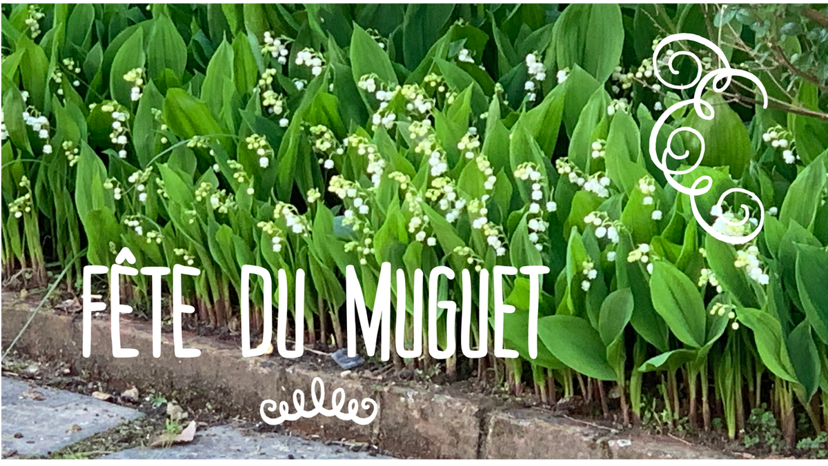 Lily of the Valley