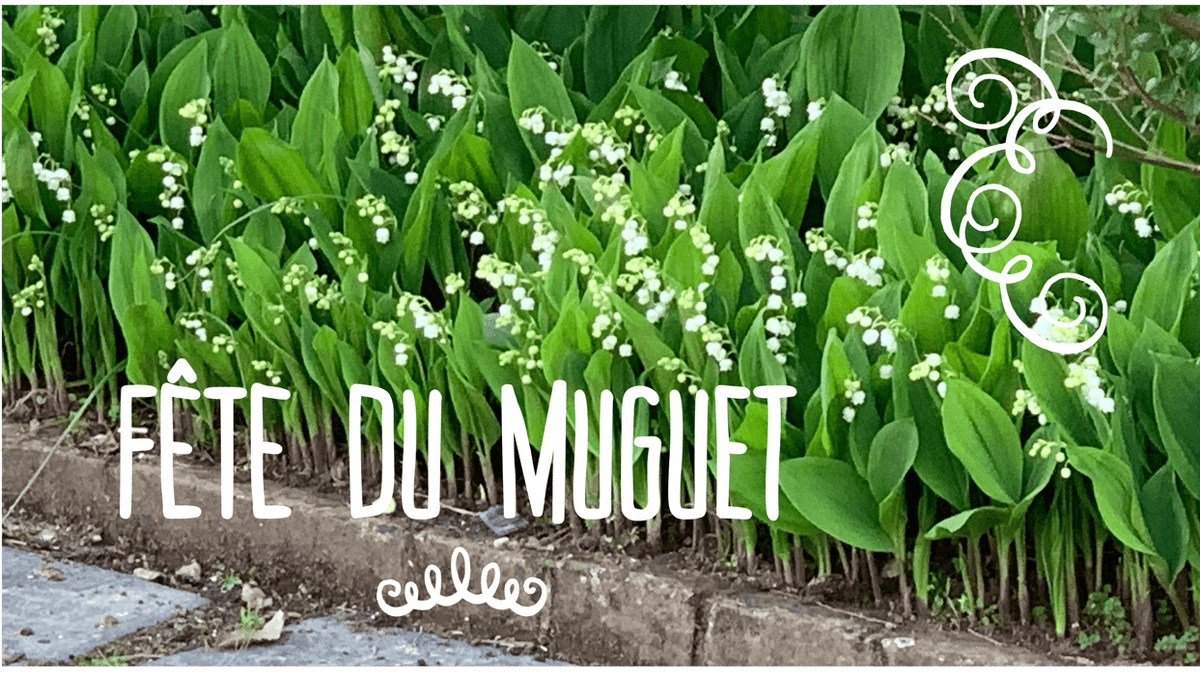 Lily of the Valley