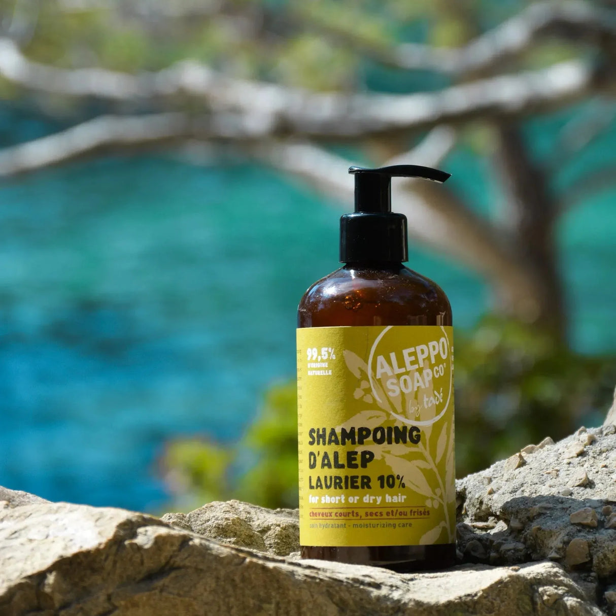 Aleppo Liquid Shampoo - Curly, Thick or Dry Hair - 300ml