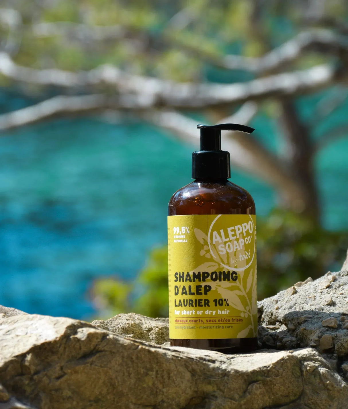 Aleppo Liquid Shampoo - Curly, Thick or Dry Hair - 300ml