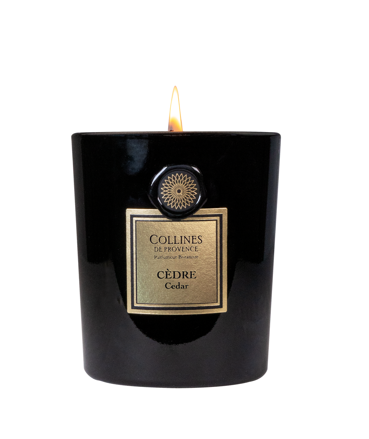 Cedar - Candle - 360g
