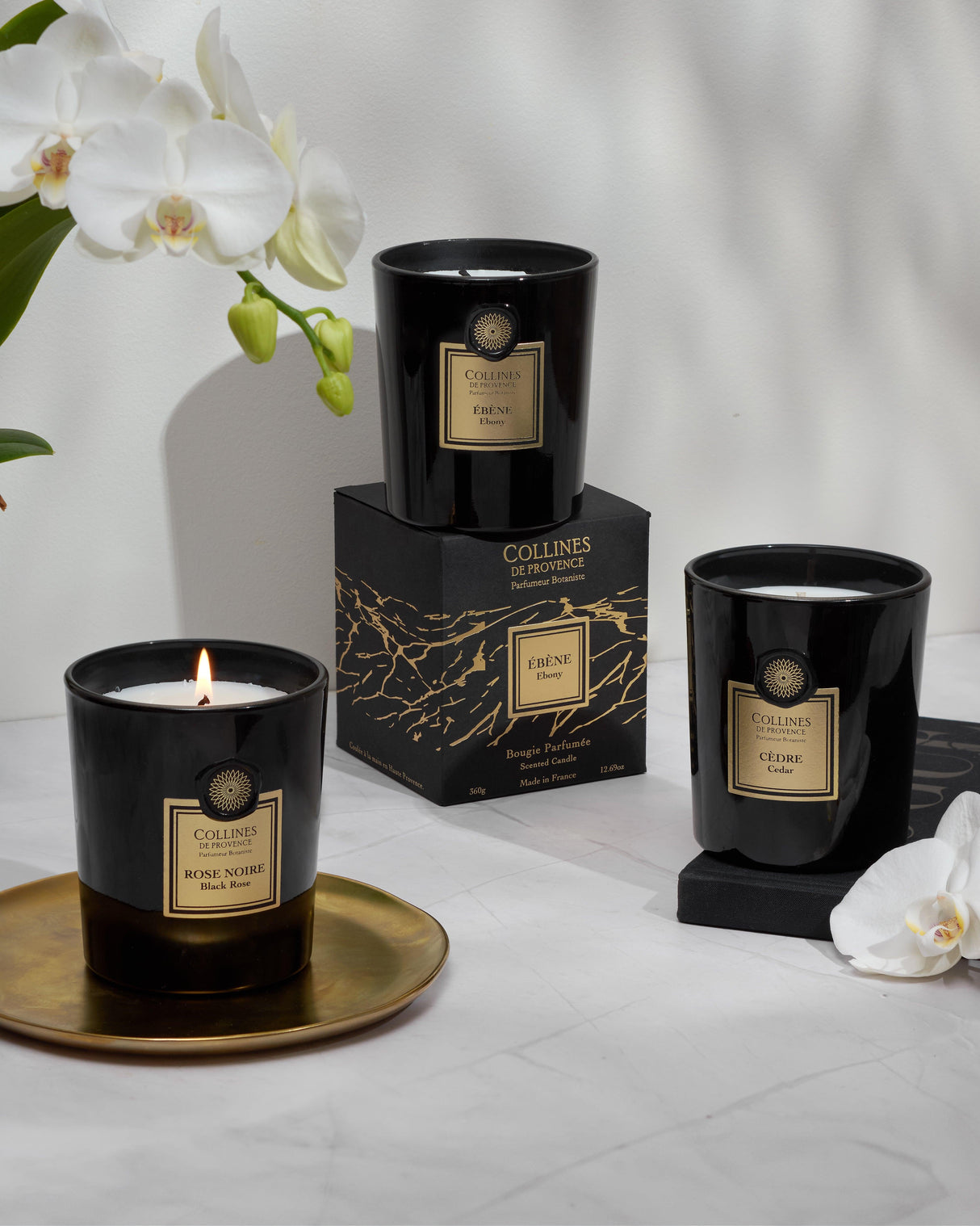 Cedar - Candle - 360g