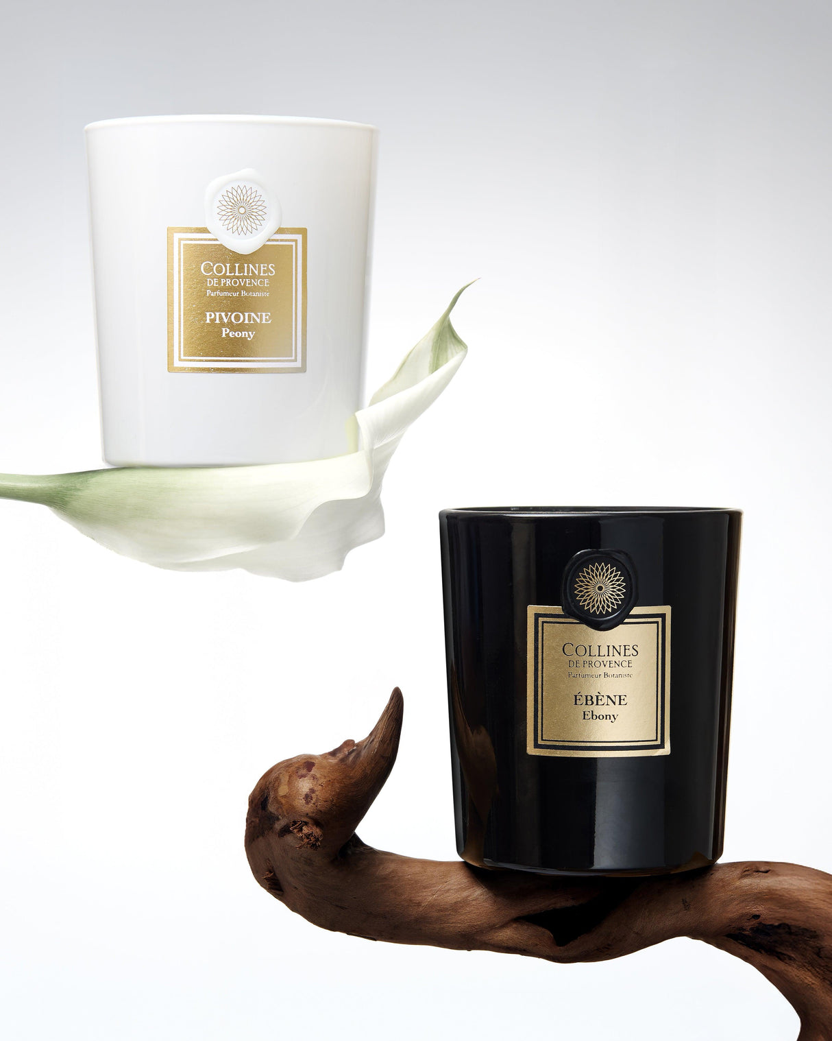 Ebony - Candle - 360g
