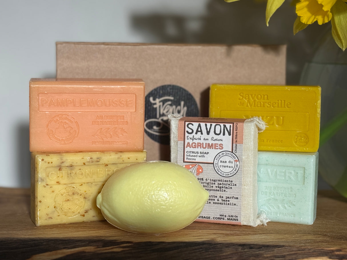 Citrus Soap Discovery Box