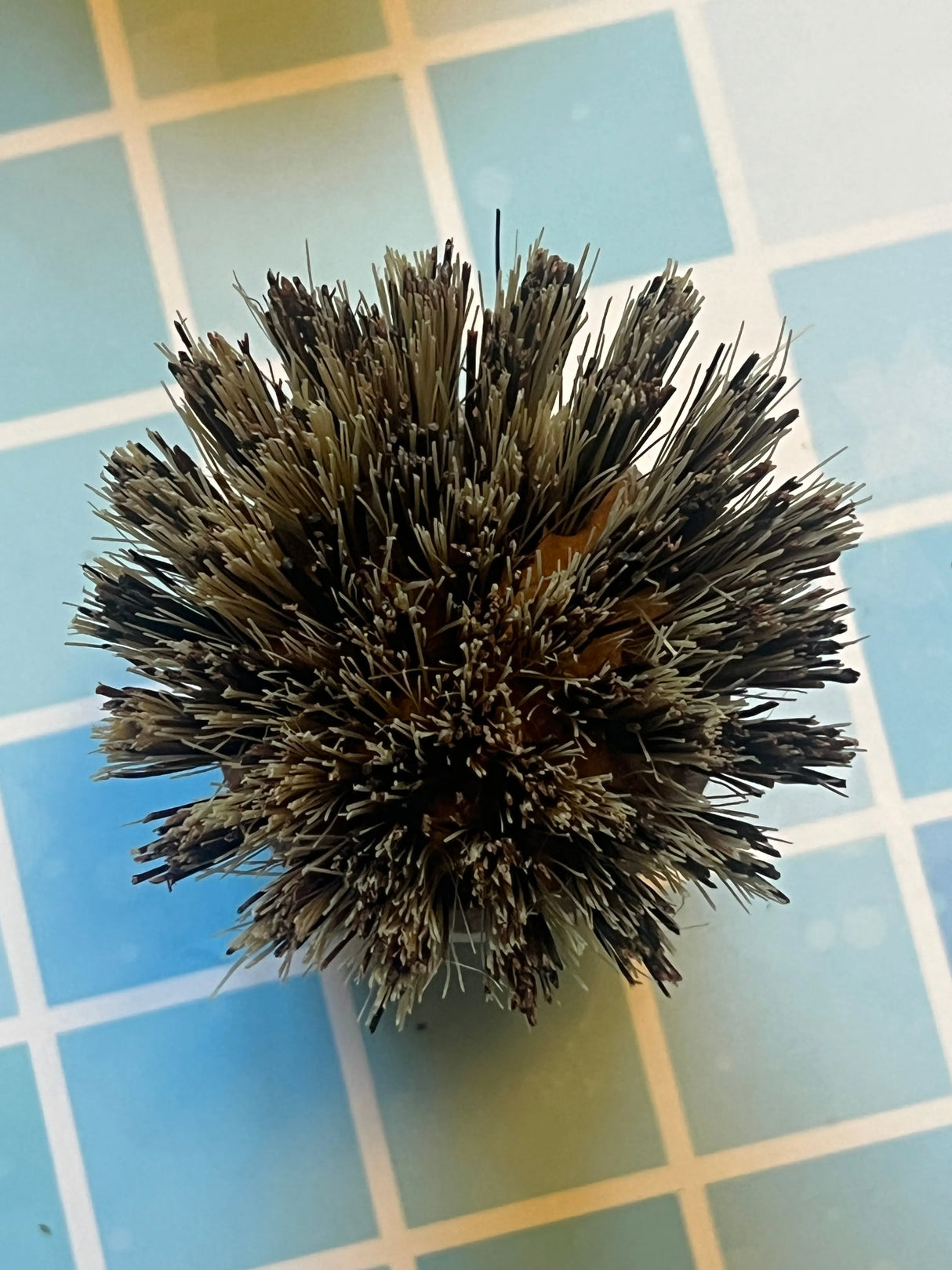 EDDINGTONS Beechwood Pot Brush with Natural Plant Fibre Bristles French Soaps UK