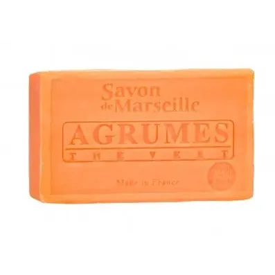 LE CHATELARD 1802 Citrus Fruit & Green Tea Savon de Provence, enriched with Sweet Almond Oil | 100g French Soaps UK