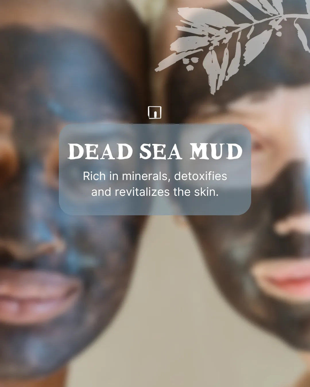 TADÉ PAYS DU LEVANT Dead Sea Mud Powder for Face & Body & Scalp | 200g French Soaps UK