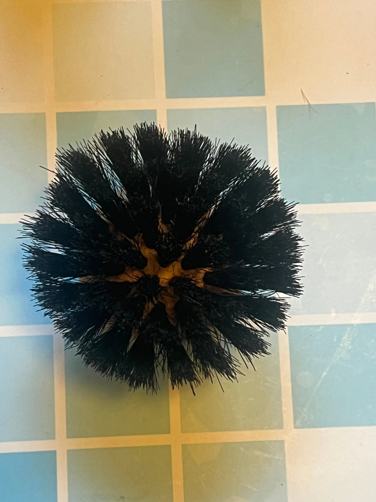 EDDINGTONS Traditional Dish Brush Replacement Head Duo French Soaps UK