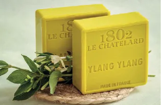 LE CHATELARD 1802 Ylang Ylang Marseille Soap, 72% Coconut, Olive and Almond Oil, 100g | PALM FREE French Soaps UK