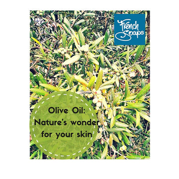 Olive Oil - one of nature's wonder