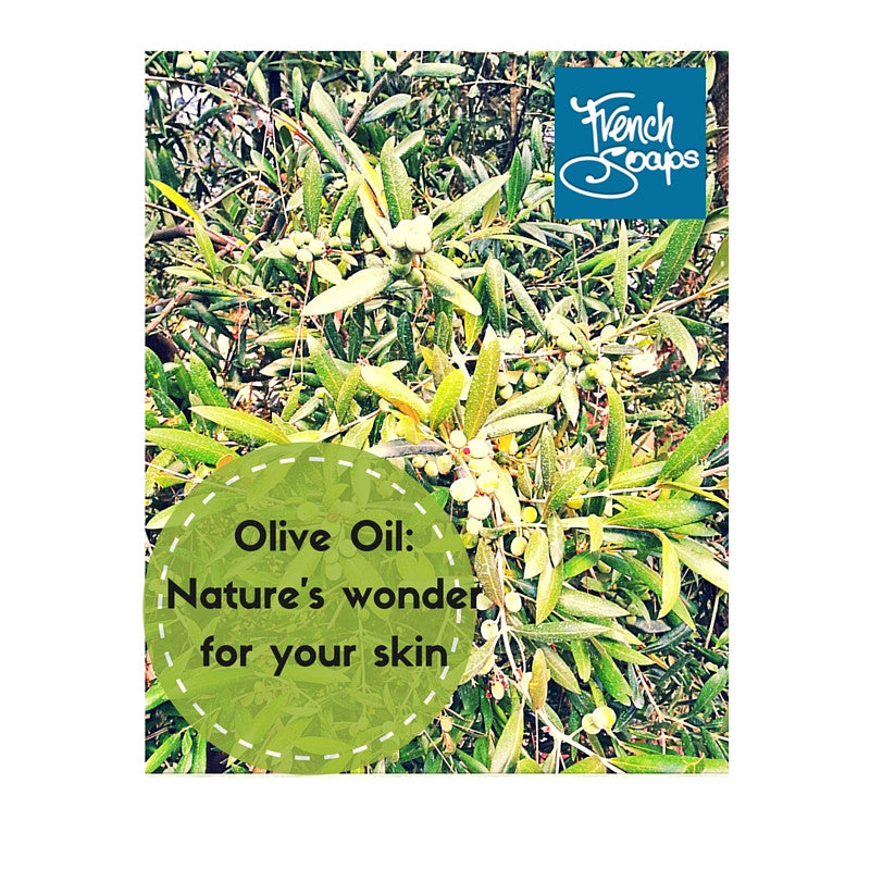 Olive Oil - one of nature's wonder