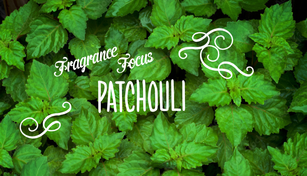 Patchouli