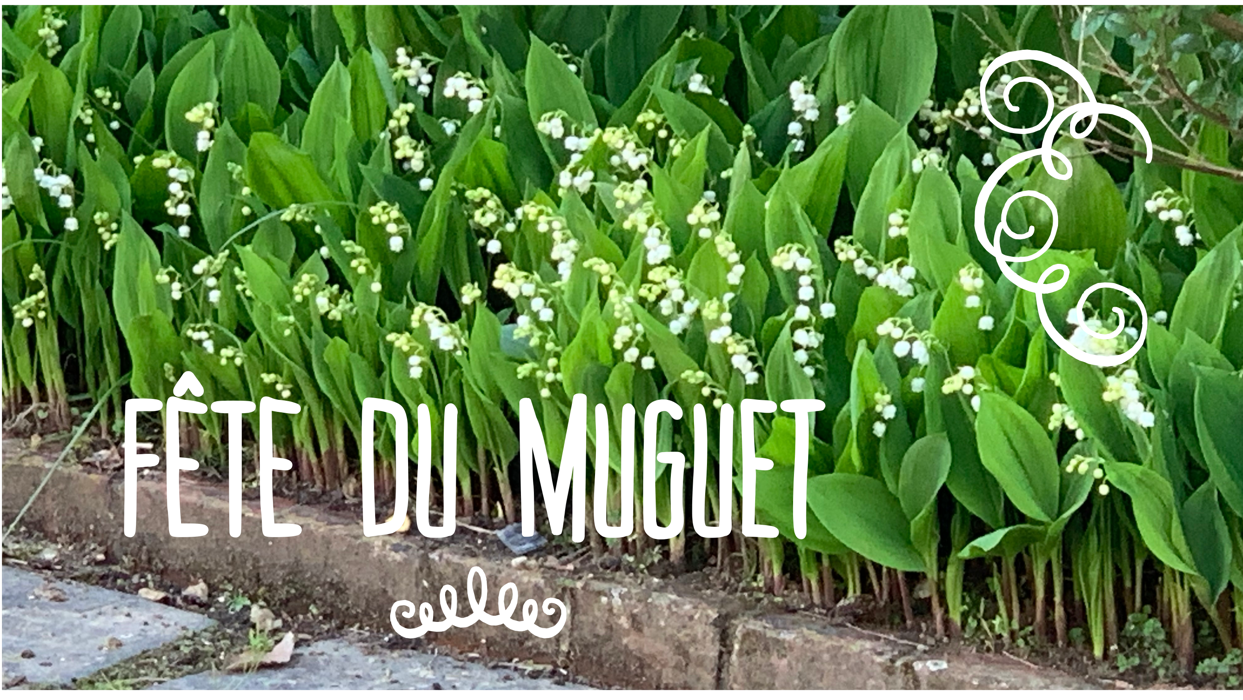 Lily of the Valley