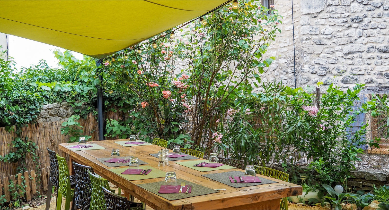 Garden scene in Provence