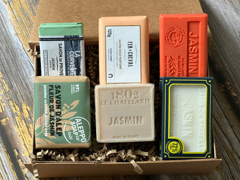 Jasmin flowers in Provence – inspiration for soaps, candles, and body care at French Soaps UK