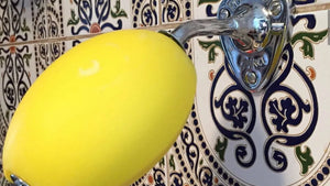 CHROME WALL ARMS - PROVENDI