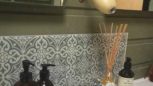 BRUSHED STEEL WALL ARMS - PROVENDI