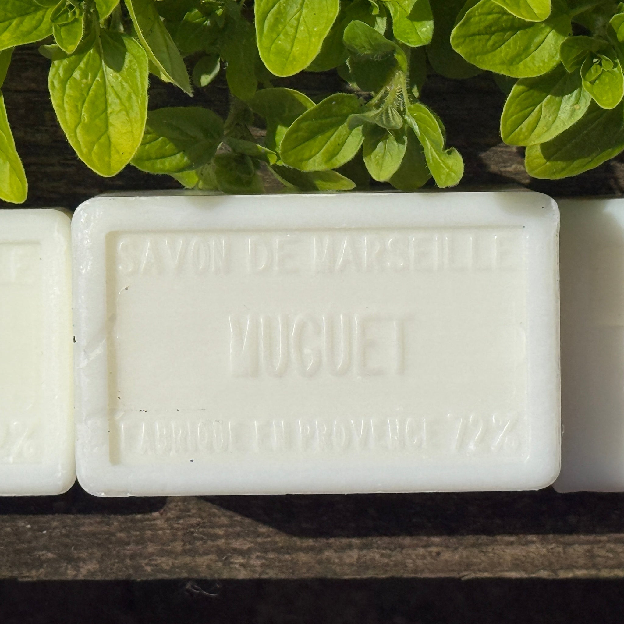 Seasonal Scents