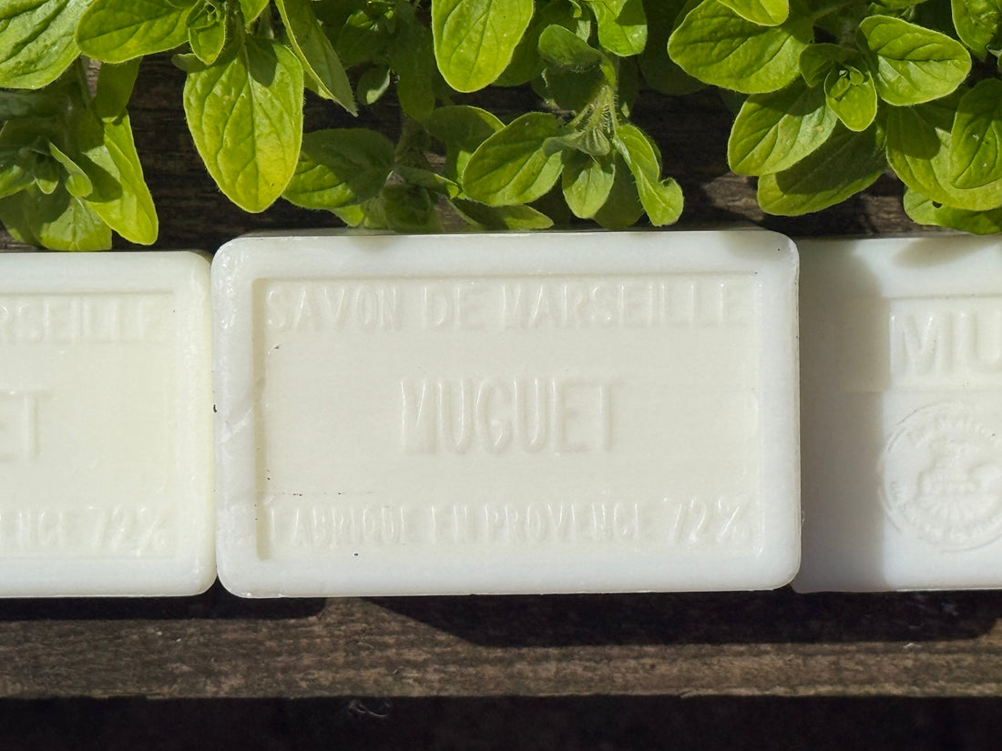 Seasonal Scents