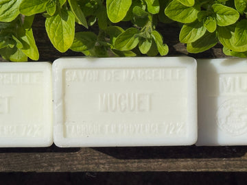 Seasonal Scents