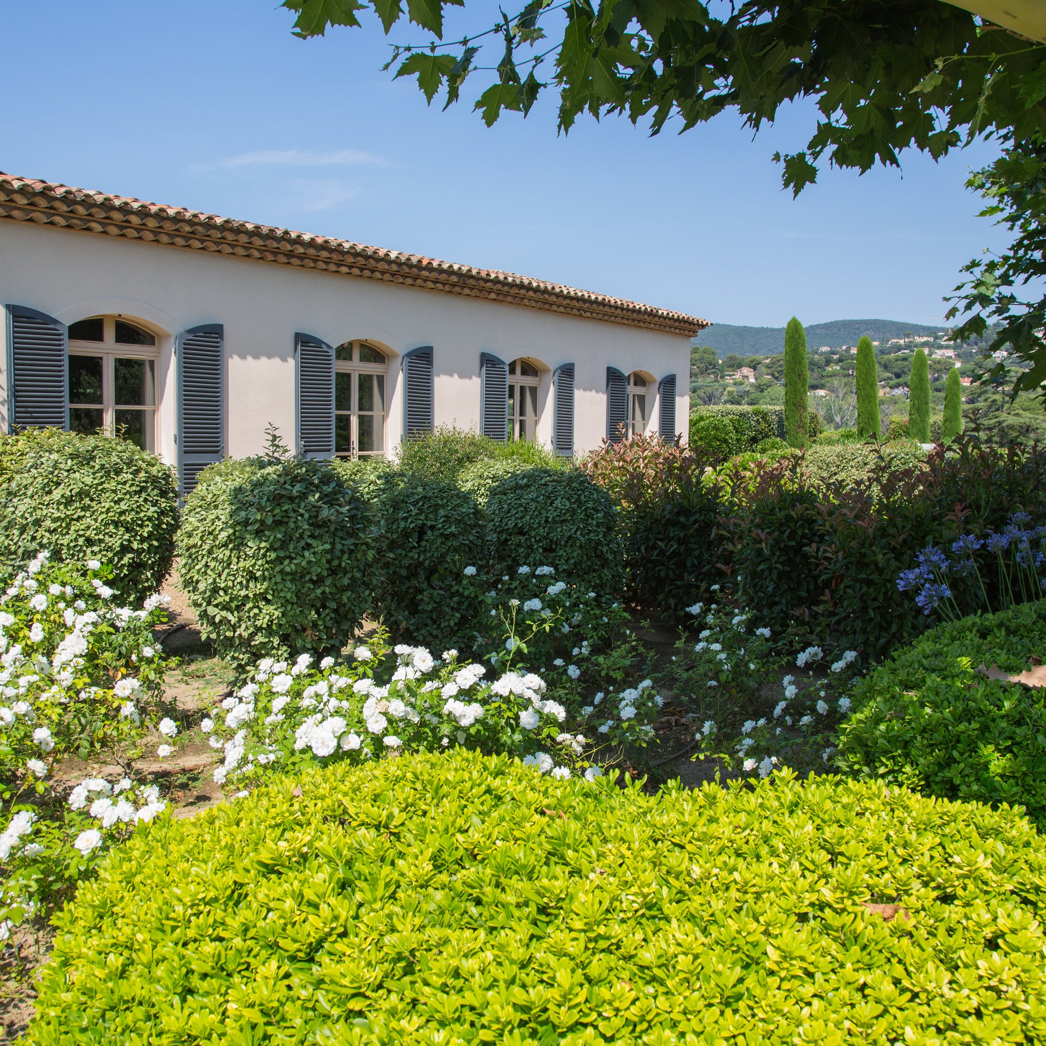 The Herb Garden