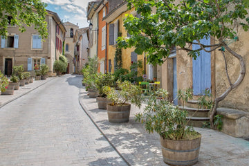 Almond Provence Soaps | Sweet & Nourishing French Soap - FrenchSoaps