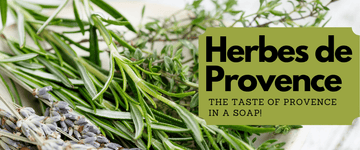 Herbs and Spices