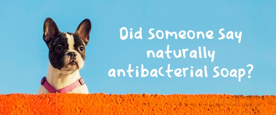 Naturally antibacterial and antiseptic soaps