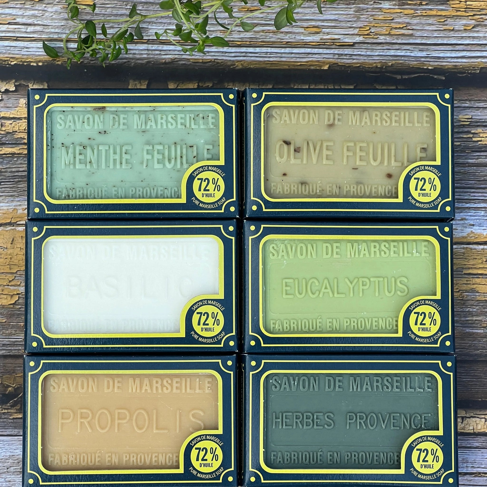 Bleu Jaune Standard Size Soap Bars