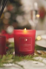 Limited Edition - Spiced Cranberry Candle by Geodesis