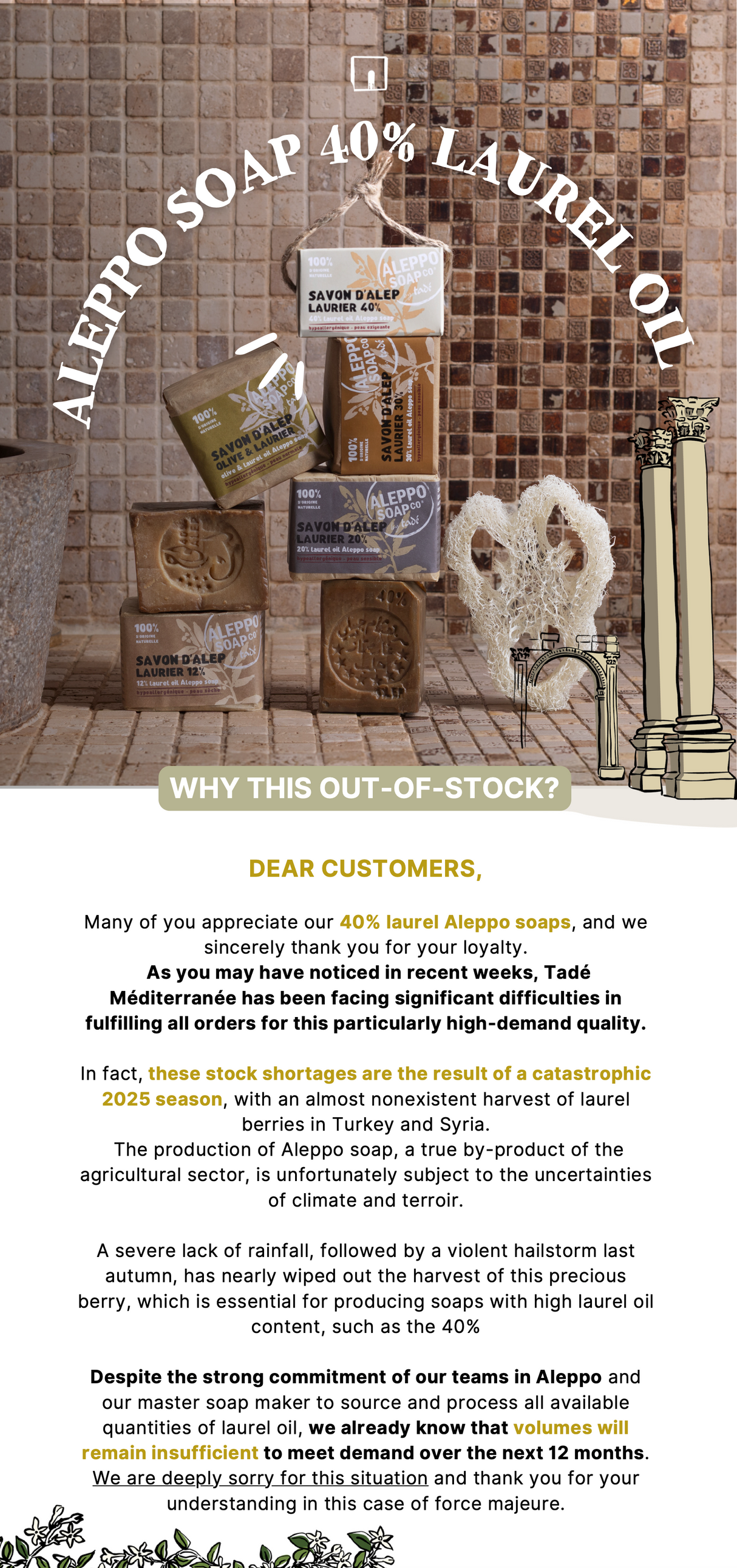 Aleppo Soap with 40% Laurel Oil | For Very Reactive Skin | 175g