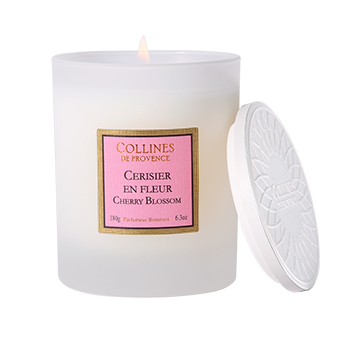 Cherry Blossom - Candle - 180g