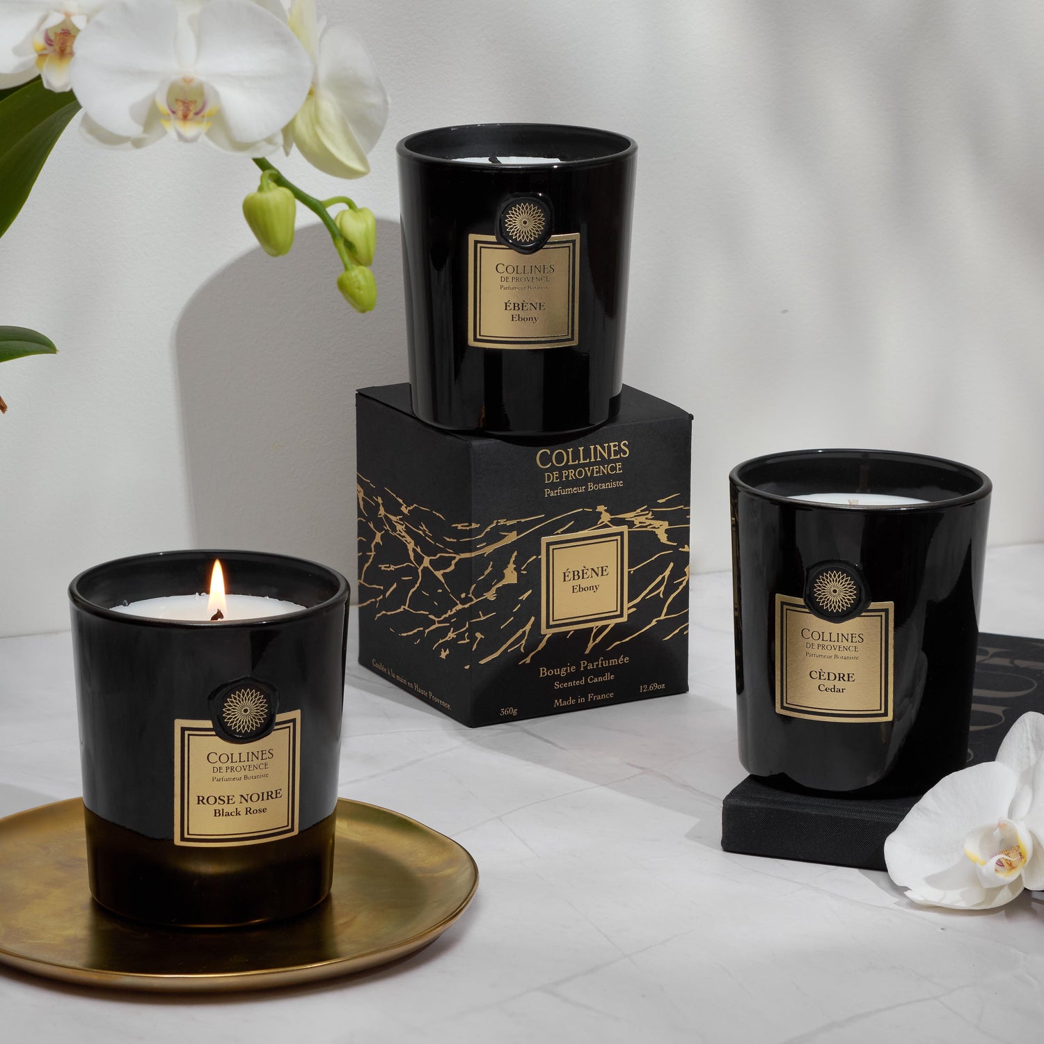 Cedar - Candle - 360g