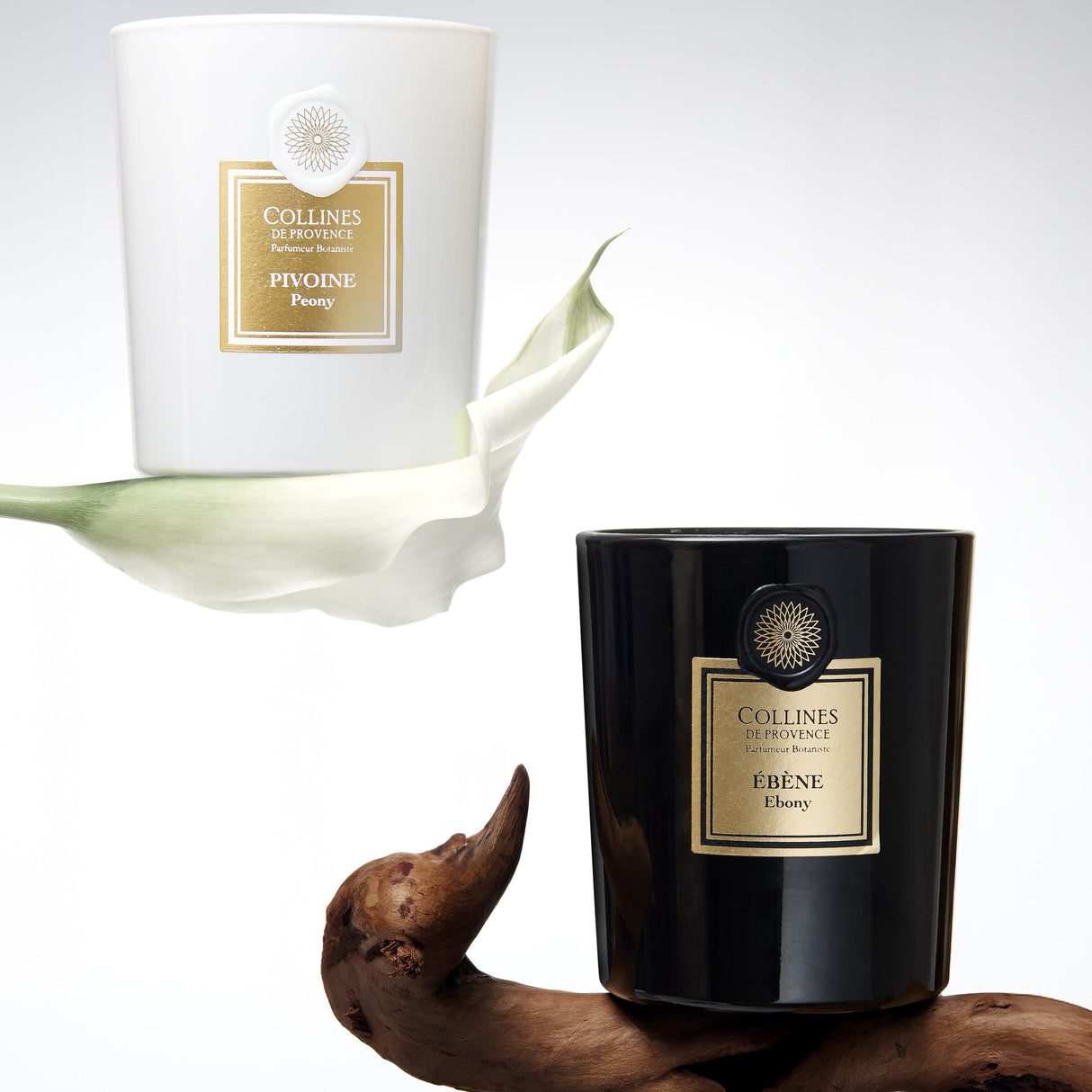 Ebony - Candle - 360g
