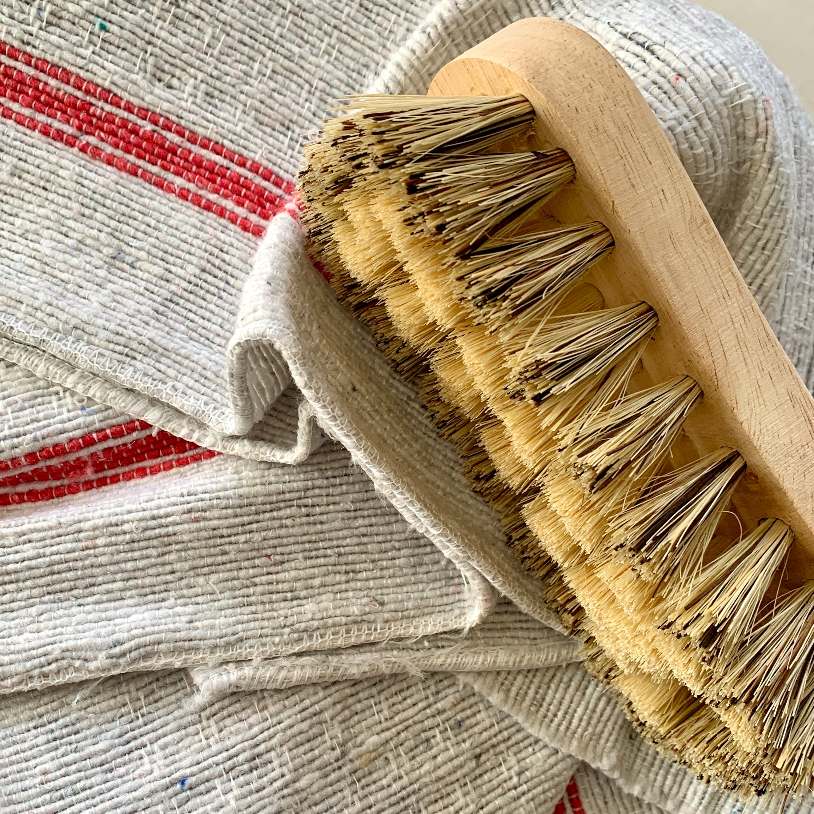 Large Scrubbing Brush, 6x17cm - 0