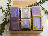 Lavender Discovery Box