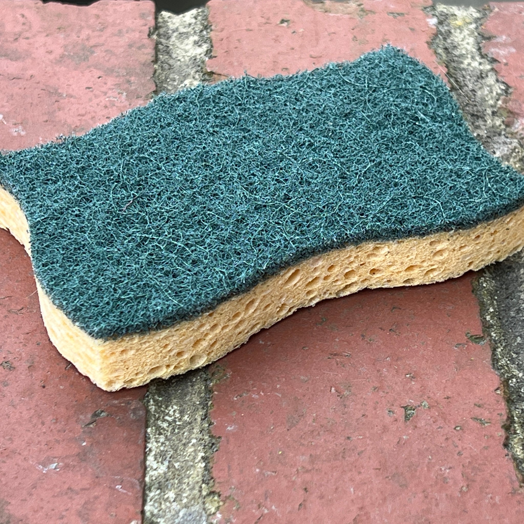Traditional Scouring Sponge, Single Sponge