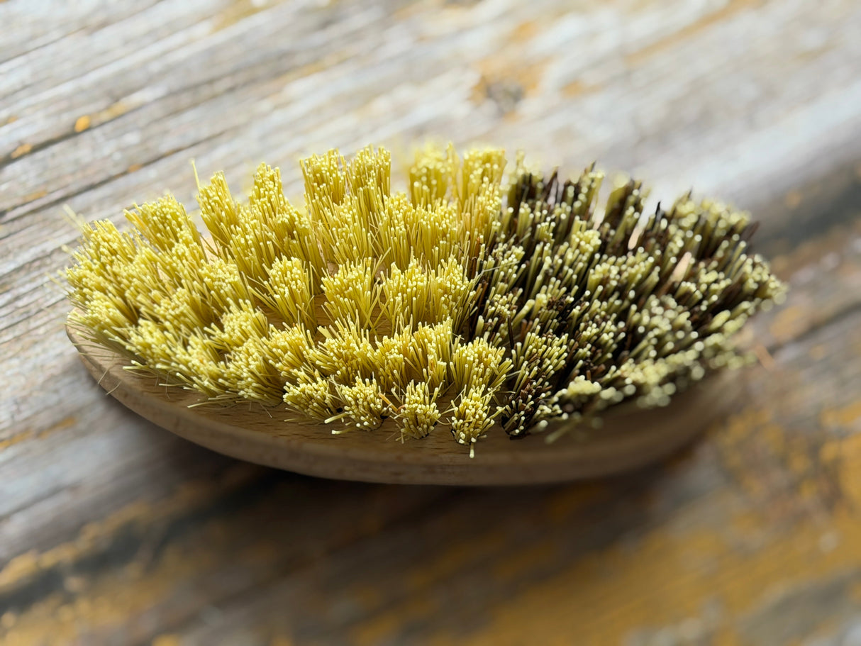 Beechwood Vegetable Brush - Plant Fibre Bristles