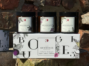 Boxed Candle Trio: Fig, Tuberose, Sakura-GEODESIS-FrenchSoaps