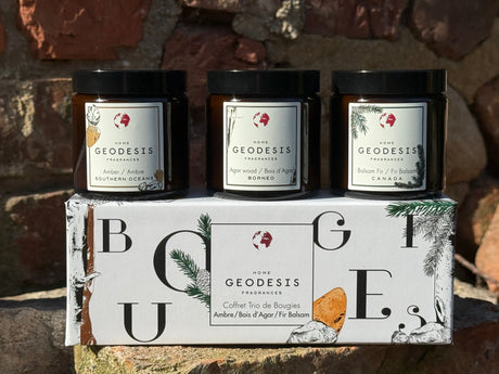 Boxed Candle Trio: Agar Wood (Oud), Amber, Balsam Fir-GEODESIS-FrenchSoaps