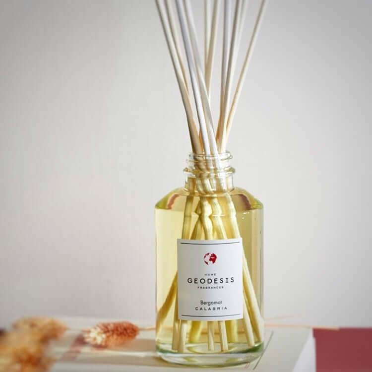 Reed diffuser with 'Geodesis' label on a neutral background