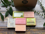 Spring Blossom Discovery Box
