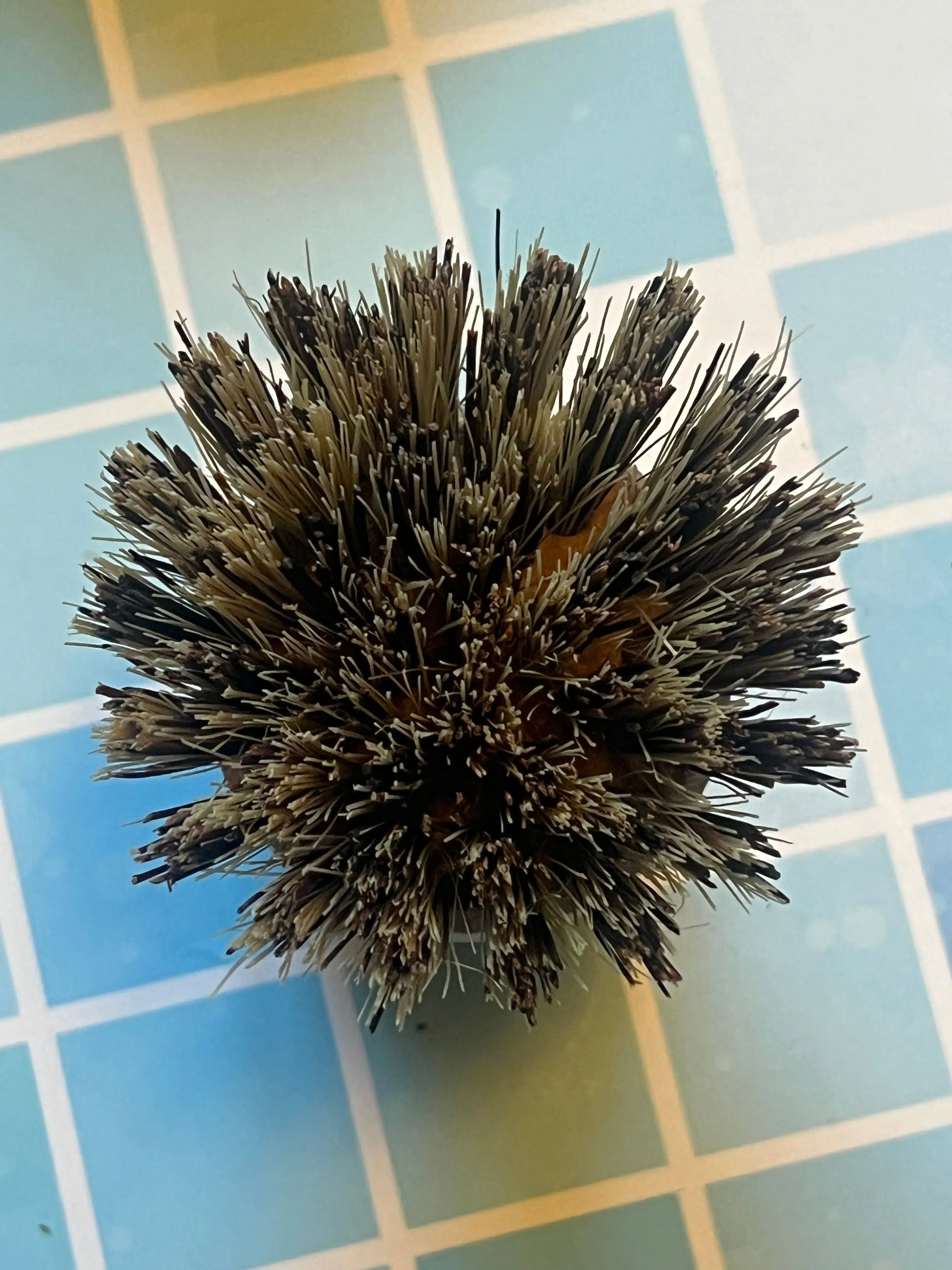 EDDINGTONS Beechwood Pot Brush with Natural Plant Fibre Bristles French Soaps UK