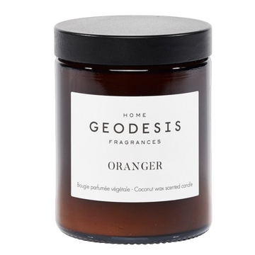 Orange Tree Candle by Geodesis