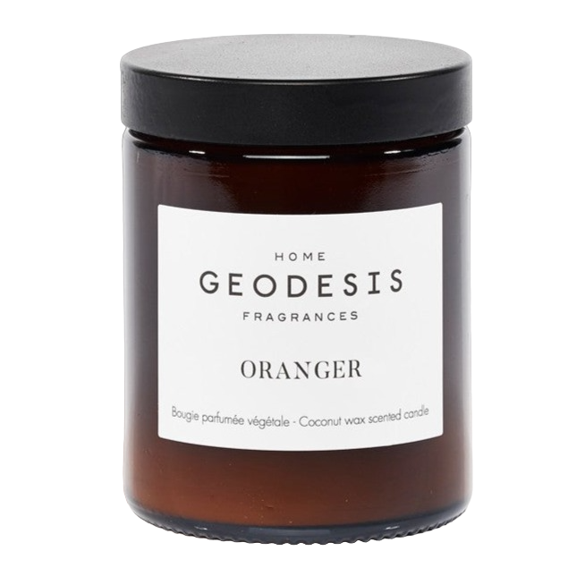 Orange Tree Candle by Geodesis