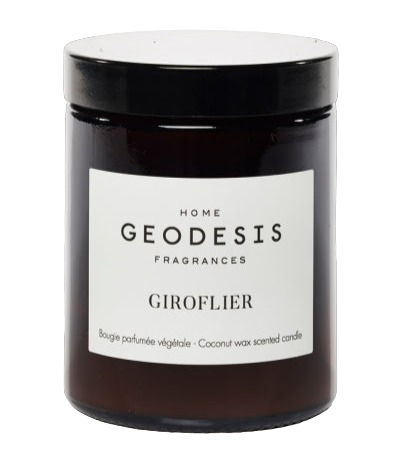 Clove Tree Candle by Geodesis