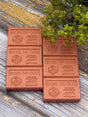 La Maison du Savon de Marseille Oud (Bois de Oud) French Soap with organic Shea Butter 125g x 6 French Soaps UK